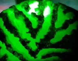 高达4000千万缅币的后江翡翠原石，切出一堆小块冰阳绿戒面