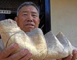 安徽63岁老农捡到一奇石，曾有人给30万不卖，如今当菩萨供