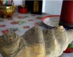安徽63岁老农捡到一奇石，曾有人给30万不卖，如今当菩萨供