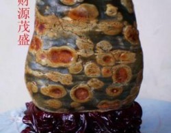八旬温州老人吴宝发捐赠上百块汉江奇石